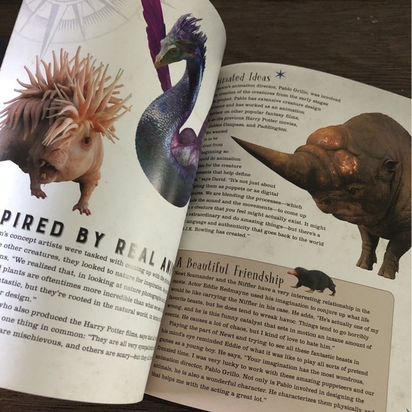 Incredi builds: Fantastic Beasts & Where to find Them: Niffler wood art & book - Picture 4 of 4